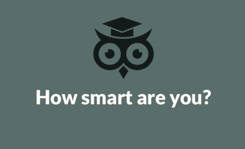 How Smart Are You?
